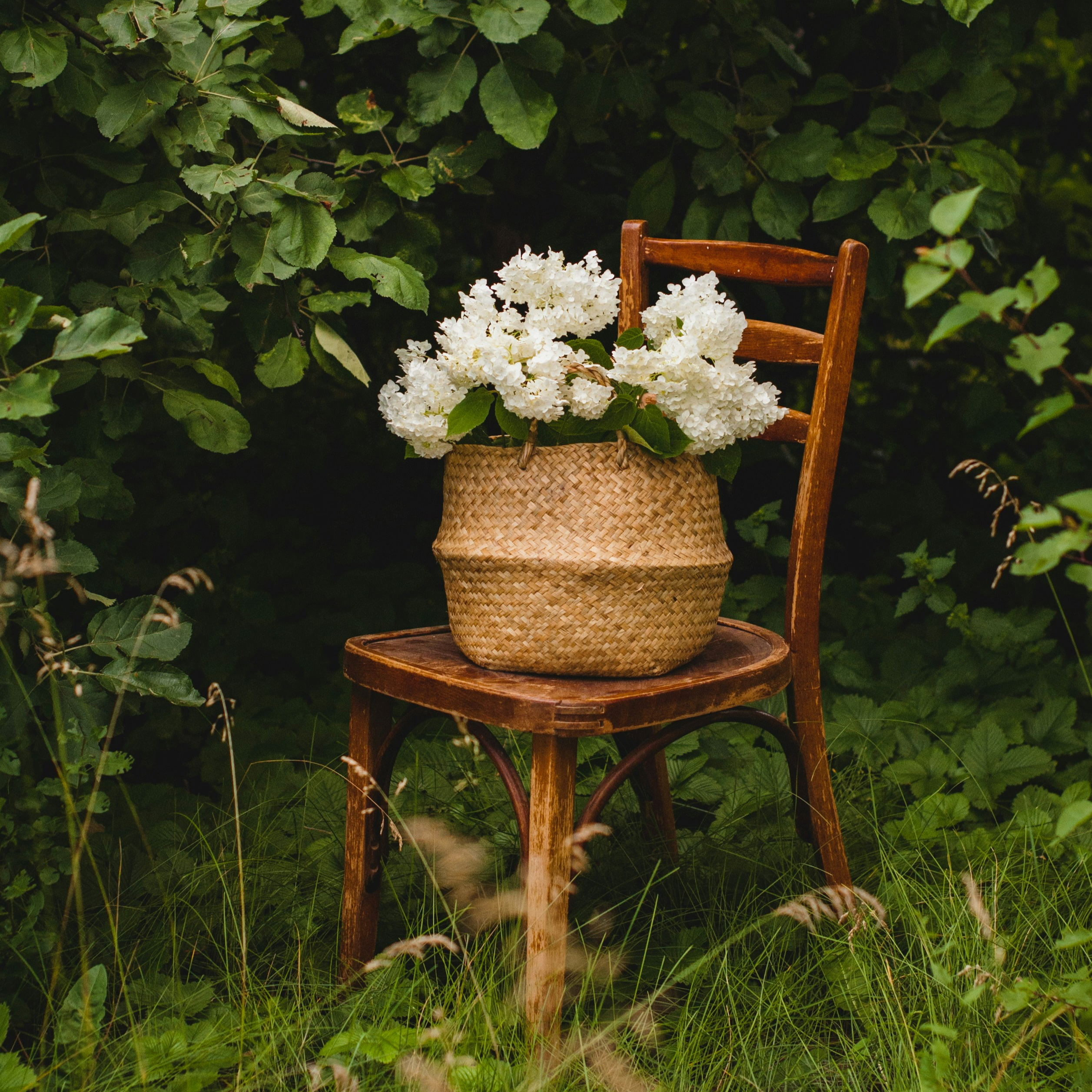 kateryna hliznitsova lk4kpgzte90 unsplash